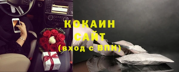 ПСИЛОЦИБИНОВЫЕ ГРИБЫ Слюдянка