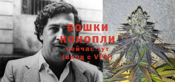 дурь Белоозёрский