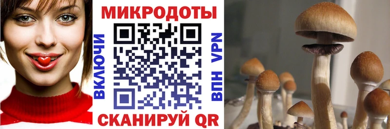 Галлюциногенные грибы прущие грибы  как найти закладки  kraken   Гремячинск 