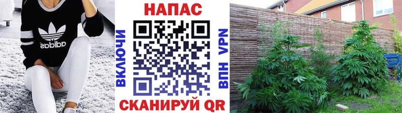 Конопля семена  Гремячинск 